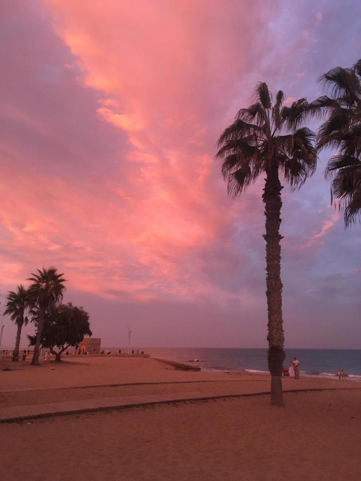 Apj Emperadores Apartment With Swimming Pool, 100 M From Beach La Mata ラ・マタ エクステリア 写真
